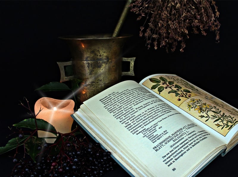 Alchemy of Plants